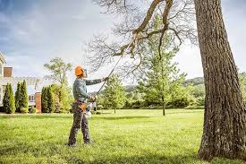Best Fruit Tree Pruning  in Roberts, WI
