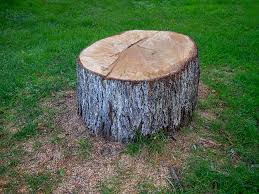 Best Commercial Tree Services  in Roberts, WI