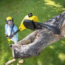 Best Tree Mulching  in Roberts, WI